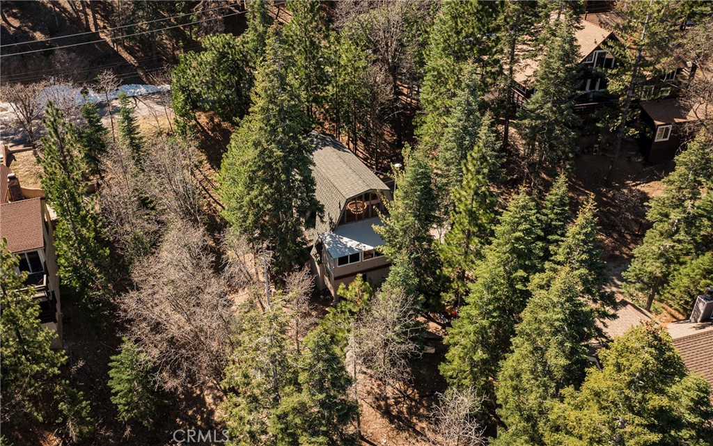 26980 Everest Road Lake Arrowhead, CA 92391 - Photo 6 of 49 a backyard of a house with table and chairs