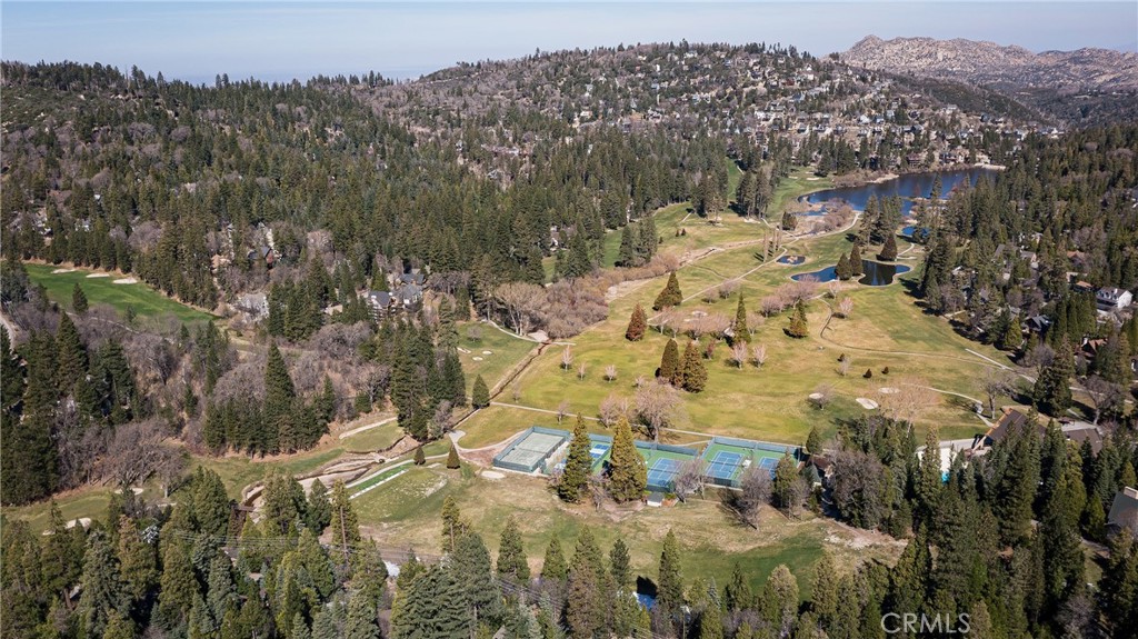 26980 Everest Road Lake Arrowhead, CA 92391 - Photo 7 of 49 a view of outdoor space and city view