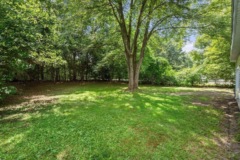 87 Vincent Street Springfield, MA 01129 - Photo 18 of 32 a view of a yard with a trees