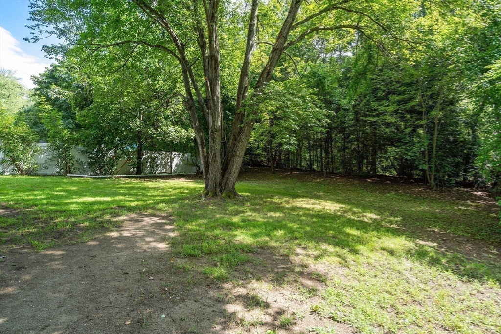 87 Vincent Street Springfield, MA 01129 - Photo 24 of 32 a view of a trees with a yard