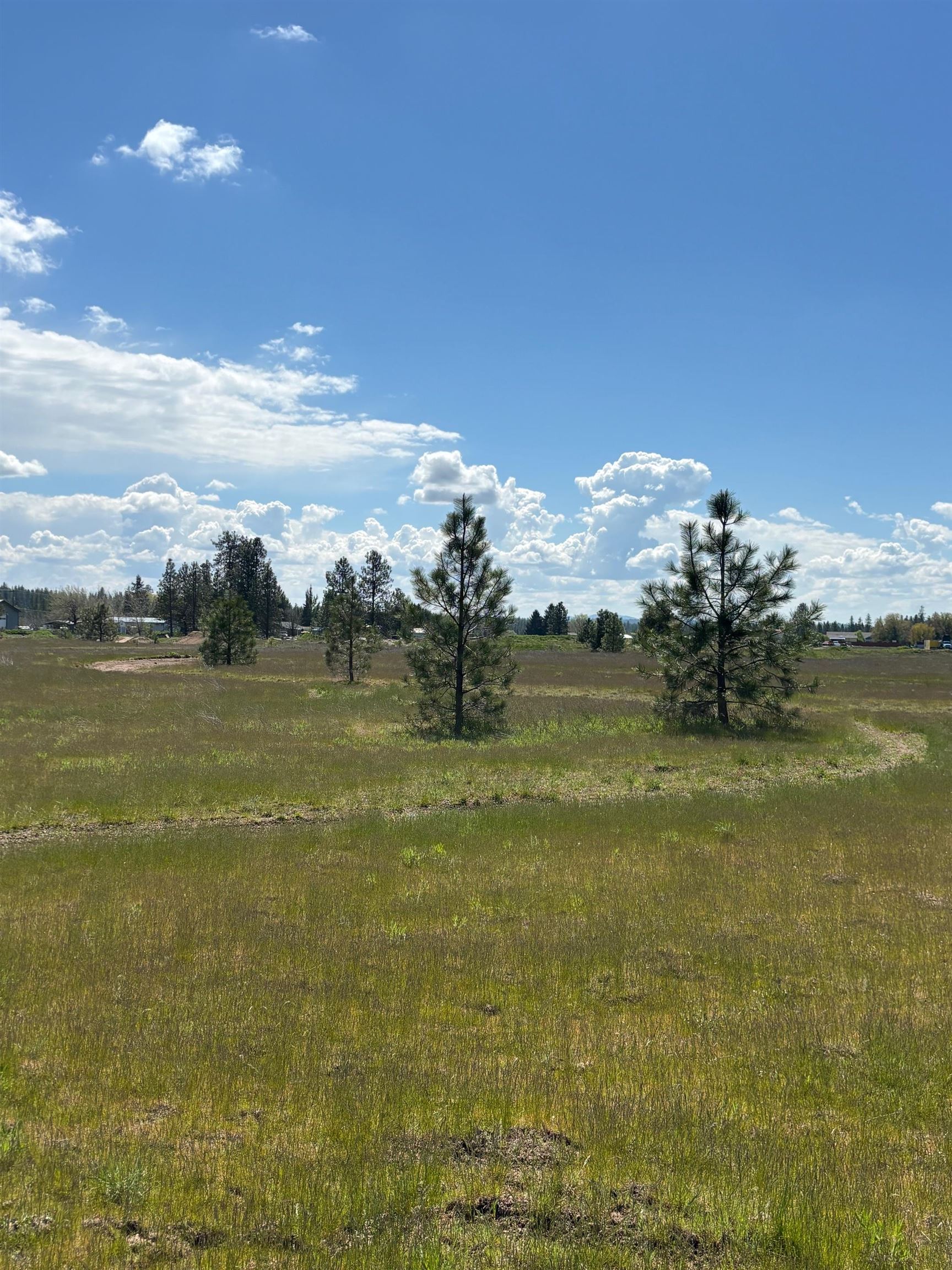 0 North Yale Road Colbert, WA 99005 - Photo 5 of 29