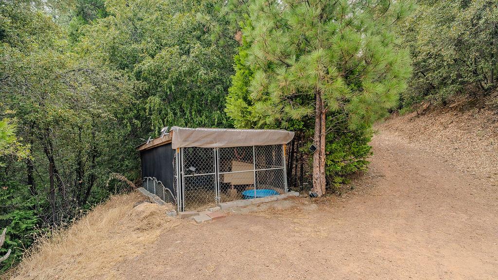 12511 Tabeaud Road Pine Grove, CA 95665 - Photo 66 of 99 Gallery Image 66