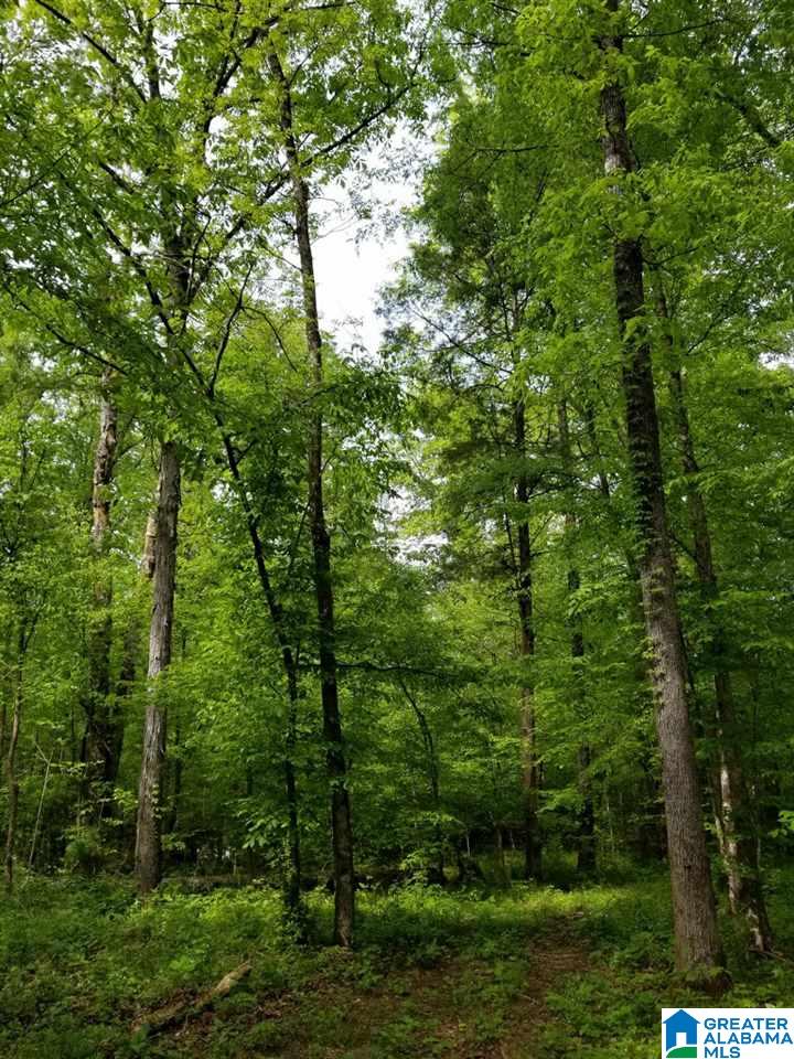 0 Gould Road Columbiana, AL 35051 - Photo 1 of 7