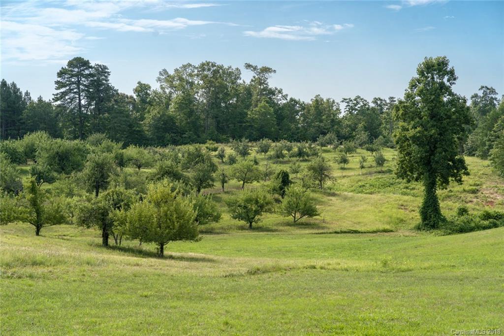 75 Stanley Ln Mill Spring, Unit 9 Mill Spring, NC 28756 - Photo 23 of 24