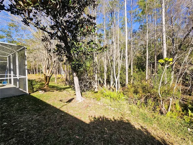 a view of back yard of the house