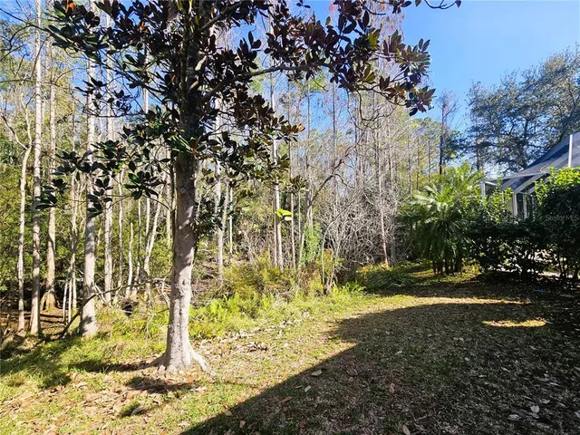 a view of yard with green space