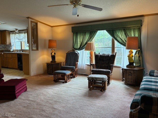 12575 Zane Road Lore City, OH 43755 - Photo 24 of 37 Living room with ornamental molding, a ceiling fan, light carpet, and a textured ceiling