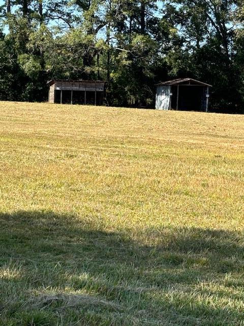 252 Greyback Road Summerville, SC 29483 - Photo 11 of 14 IMG_0976