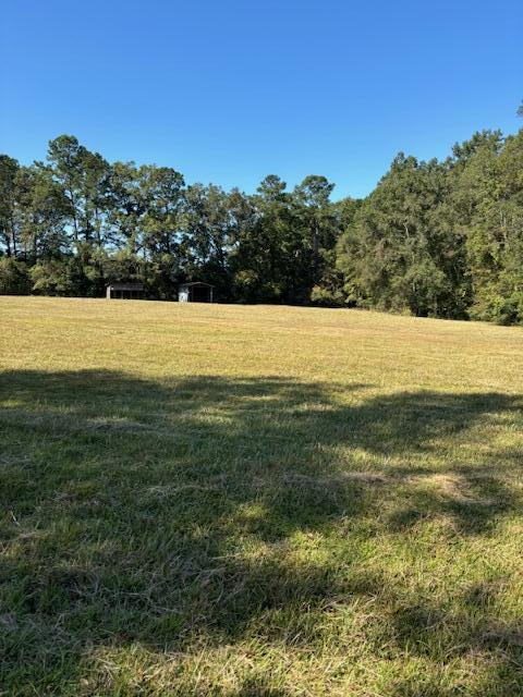 252 Greyback Road Summerville, SC 29483 - Photo 13 of 14 IMG_0974