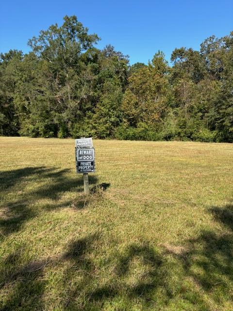 252 Greyback Road Summerville, SC 29483 - Photo 14 of 14 IMG_0975