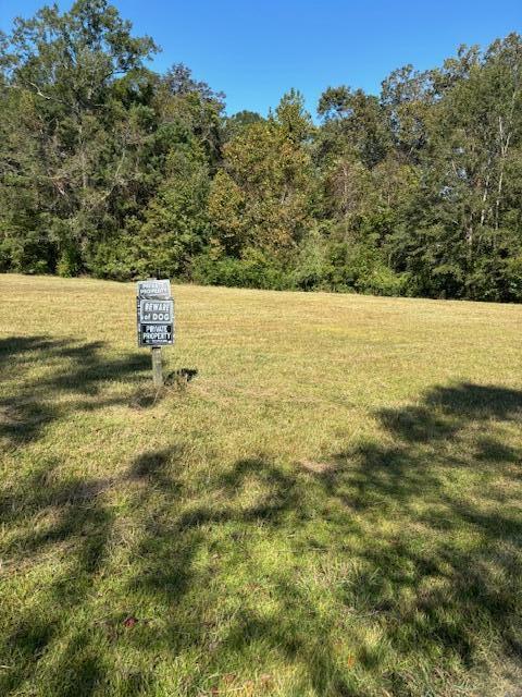 252 Greyback Road Summerville, SC 29483 - Photo 3 of 14 IMG_0969
