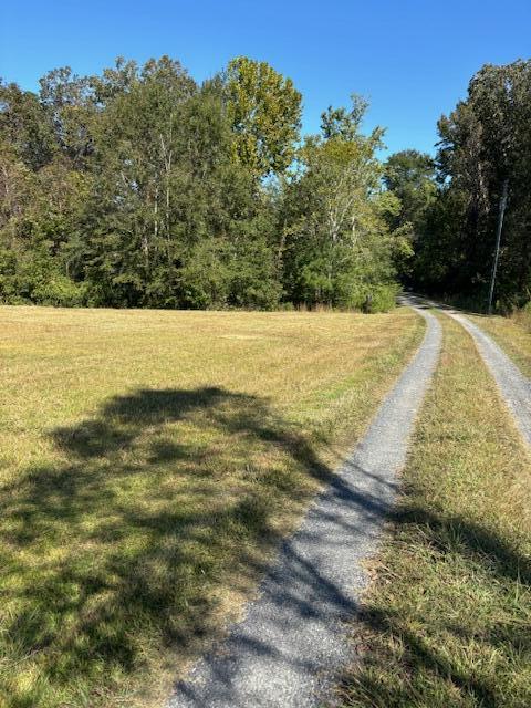 252 Greyback Road Summerville, SC 29483 - Photo 5 of 14 IMG_0970 (1)