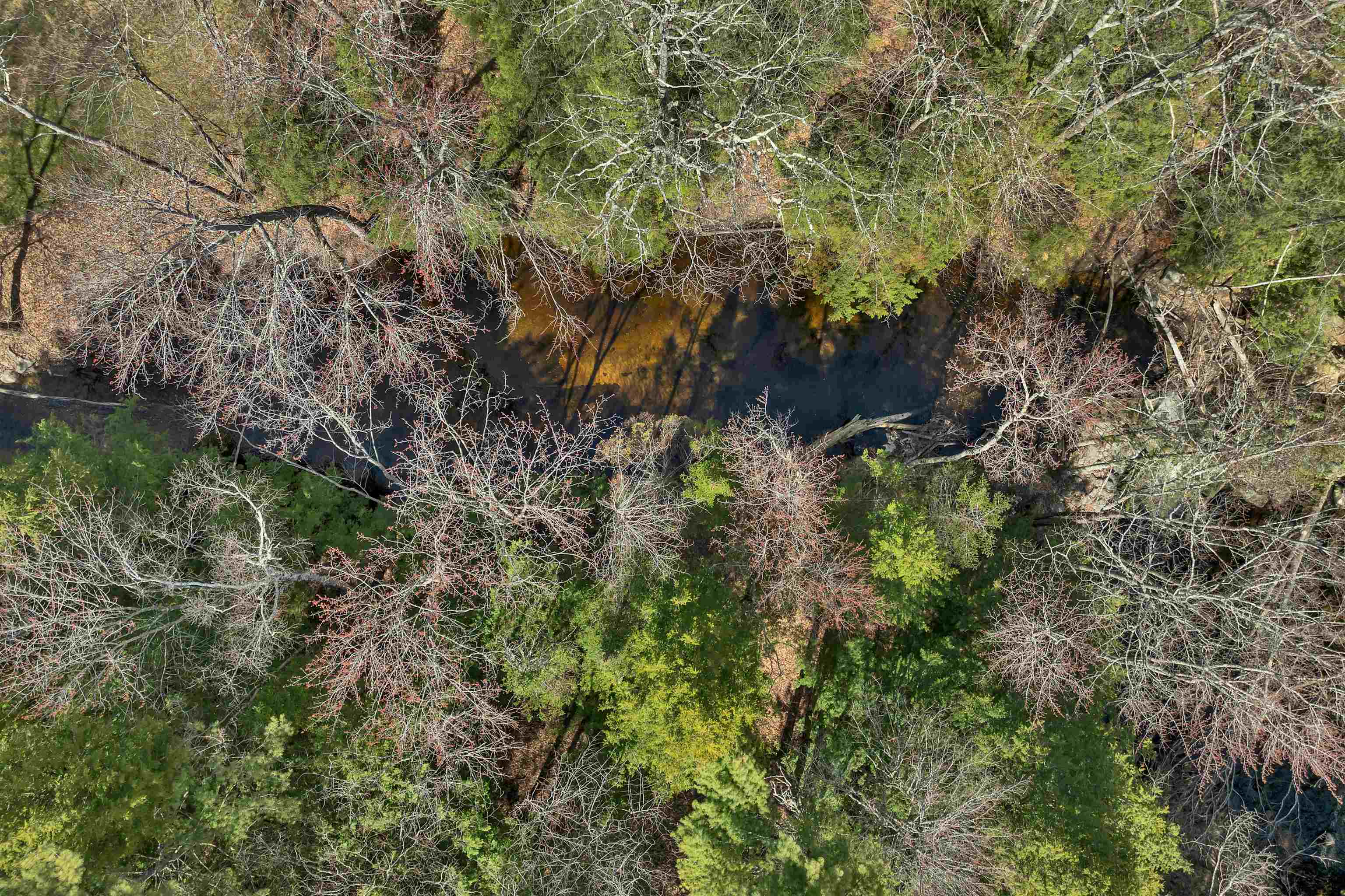 1 River Heights Road Tuftonboro, NH 03254 - Photo 48 of 56