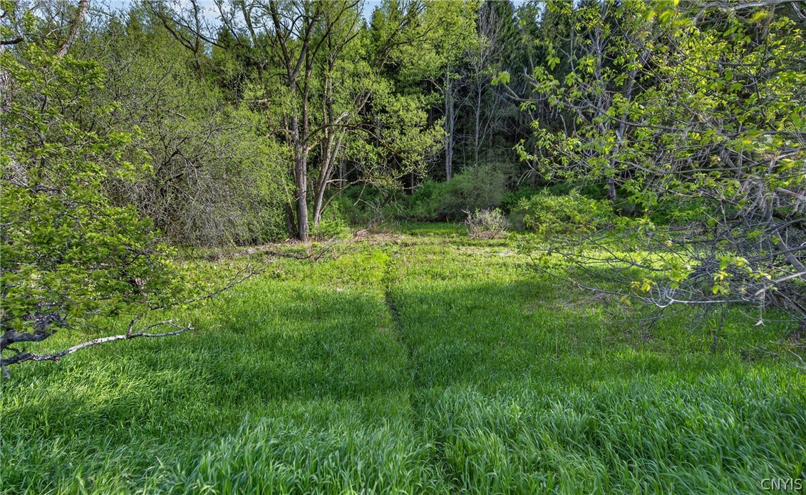 1024 N Road Tully, NY 13159 - Photo 40 of 49