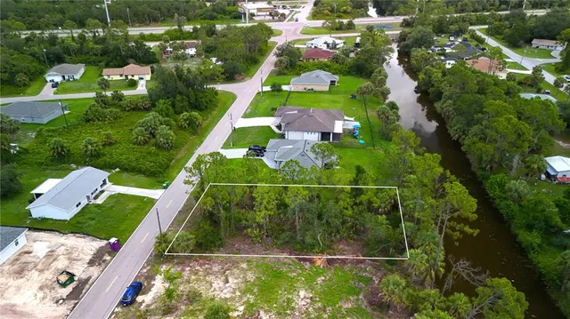 a close up of a plant