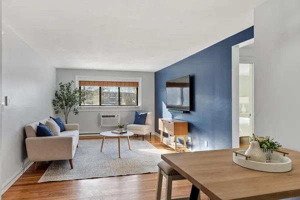 a living room with furniture and a potted plant