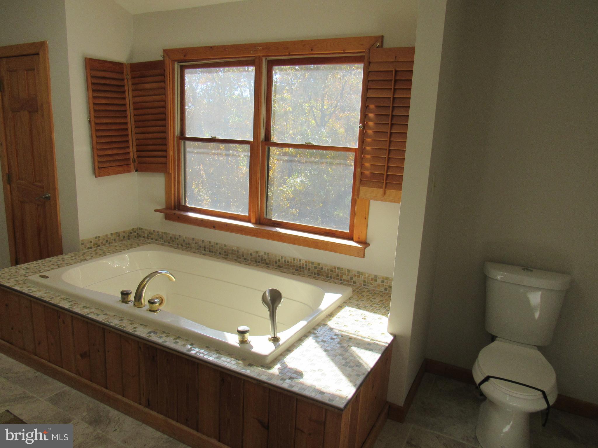 2713 Lookout Road Haymarket, VA 20169 - Photo 15 of 27 Bath (Master)