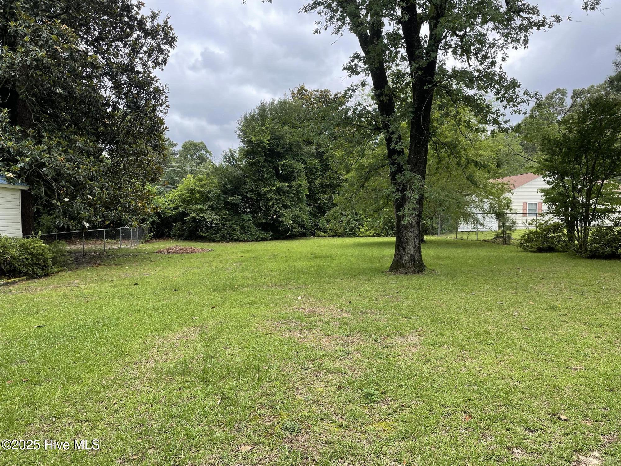 958 Holly Road Lakeview, NC 28350 - Photo 16 of 18 Back yard