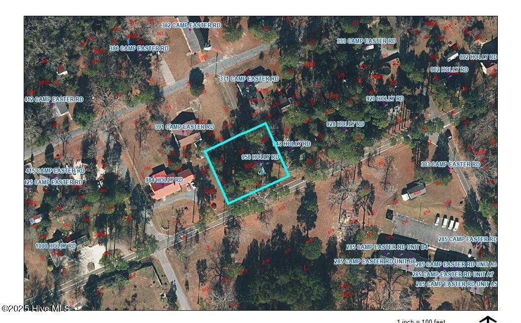 958 Holly Road Lakeview, NC 28350 - Photo 18 of 18 Parcel view