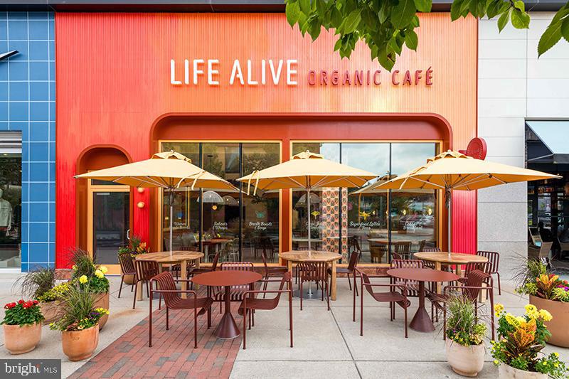 1140 23rd Street Northwest, Unit 903 Washington, DC 20037 - Photo 26 of 28 Life Alive Organic Cafe