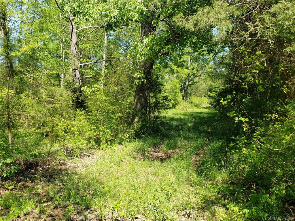 6.78-acres Catoe Road Lancaster, SC 29720 - Photo 5 of 15