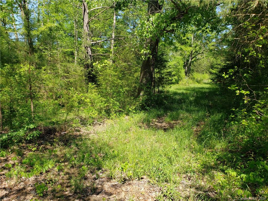 6.78-acres Catoe Road Lancaster, SC 29720 - Photo 6 of 15