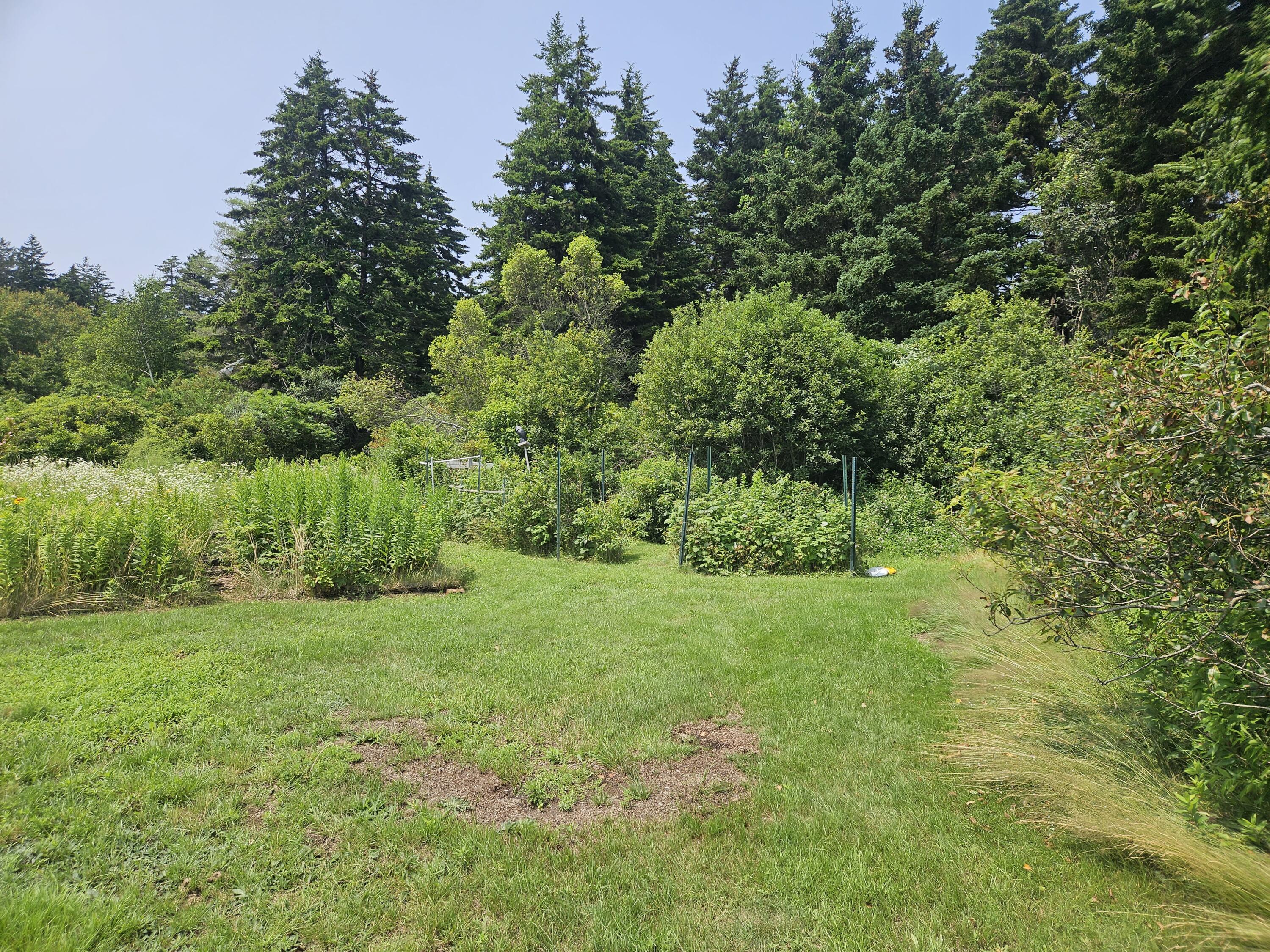 42 Cedar Beach Road Harpswell, ME 04003 - Photo 20 of 25 20230717_132929