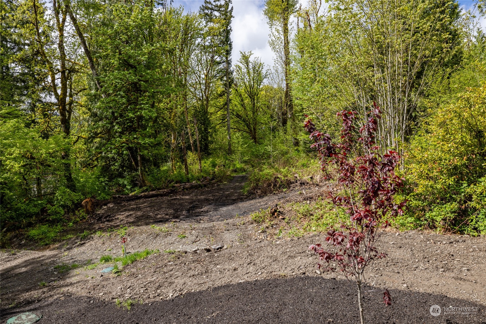 52983 State Rte 20 Rockport, WA 98283 - Photo 32 of 40 Gallery Image 32