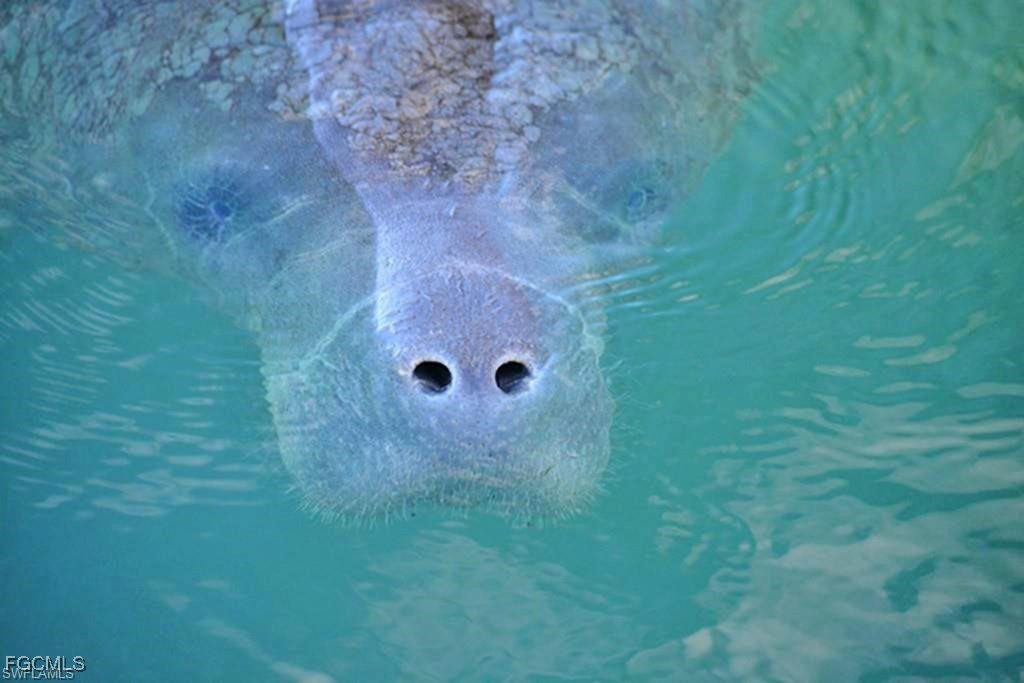 13071 Pebblebrook Point Circle, Unit 201 Fort Myers, FL 33905 - Photo 37 of 41