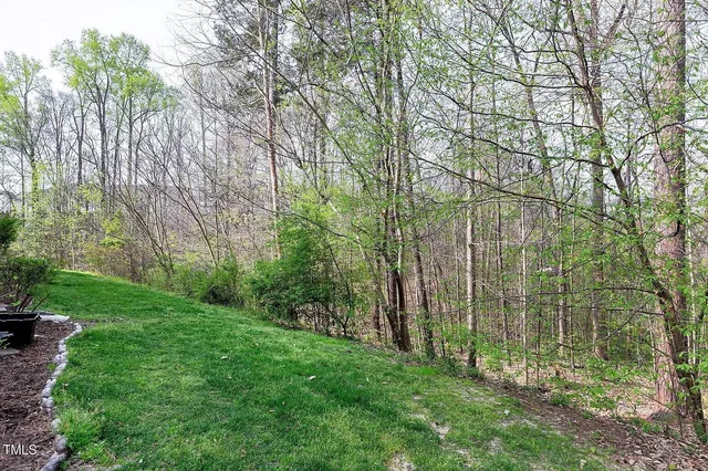 a view of a backyard with large trees