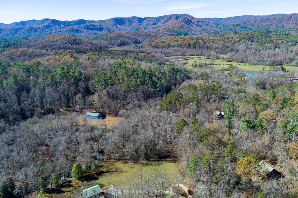 0 Pine Grove Blue Ridge, GA 30513 - Photo 11 of 23