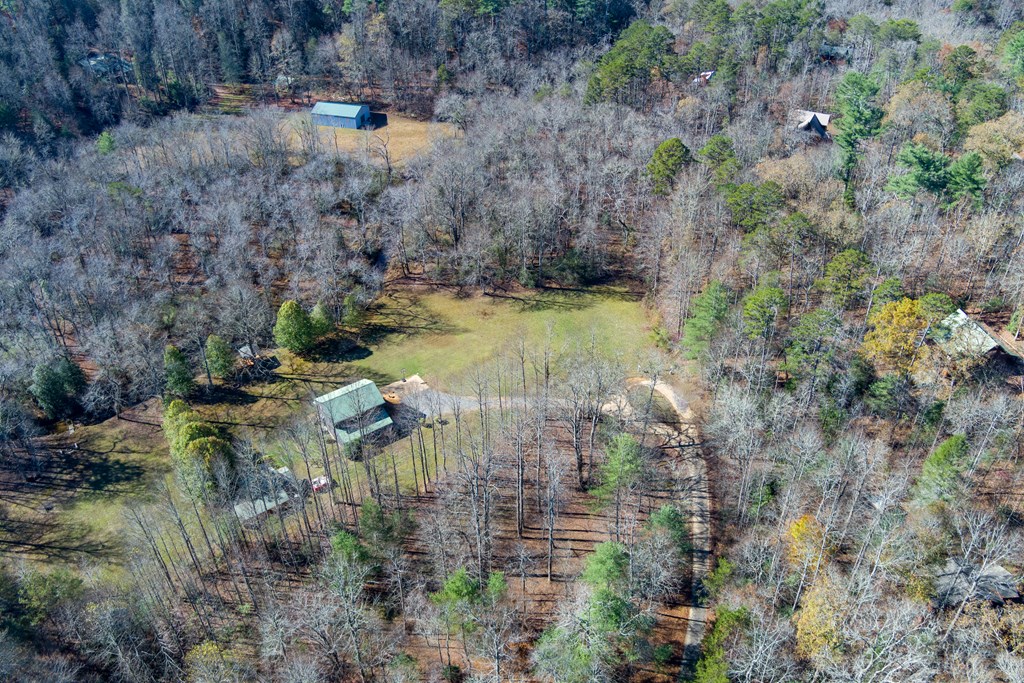 0 Pine Grove Blue Ridge, GA 30513 - Photo 12 of 23