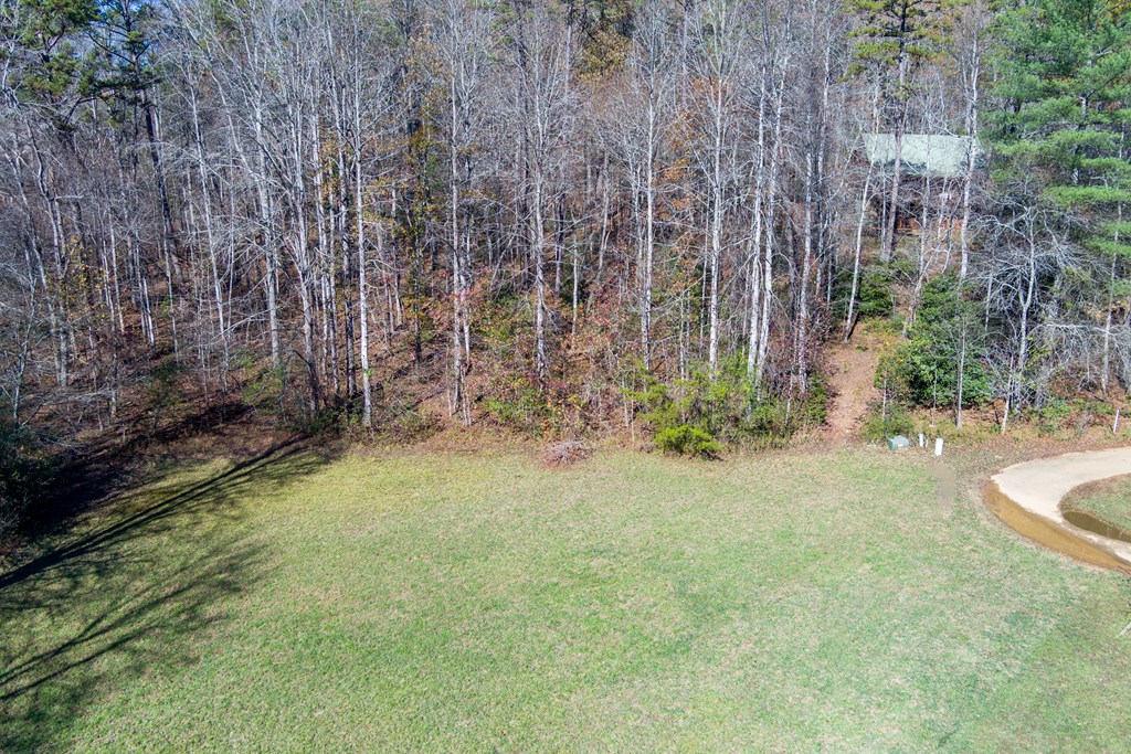 0 Pine Grove Blue Ridge, GA 30513 - Photo 13 of 23
