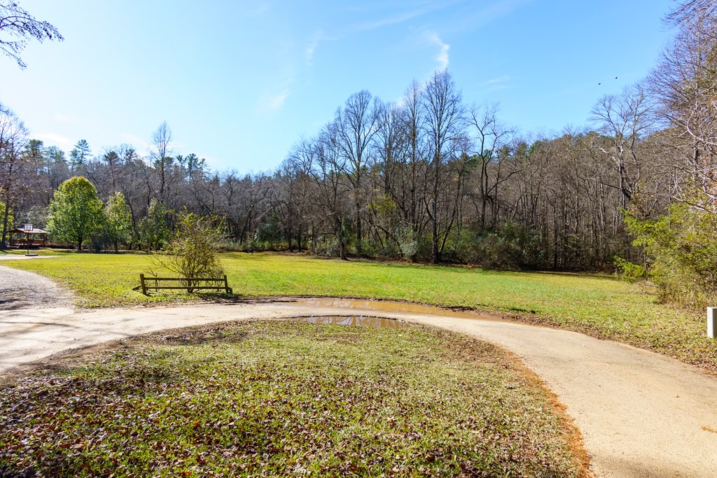 0 Pine Grove Blue Ridge, GA 30513 - Photo 14 of 23