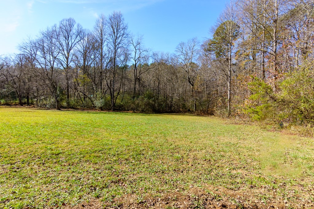 0 Pine Grove Blue Ridge, GA 30513 - Photo 15 of 23