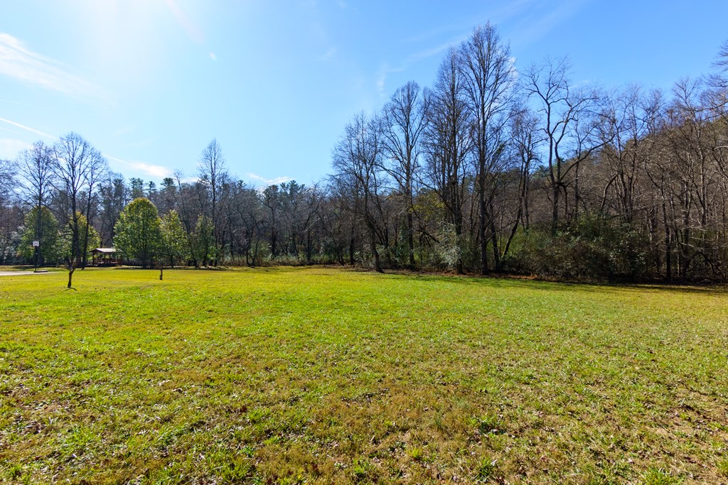 0 Pine Grove Blue Ridge, GA 30513 - Photo 16 of 23