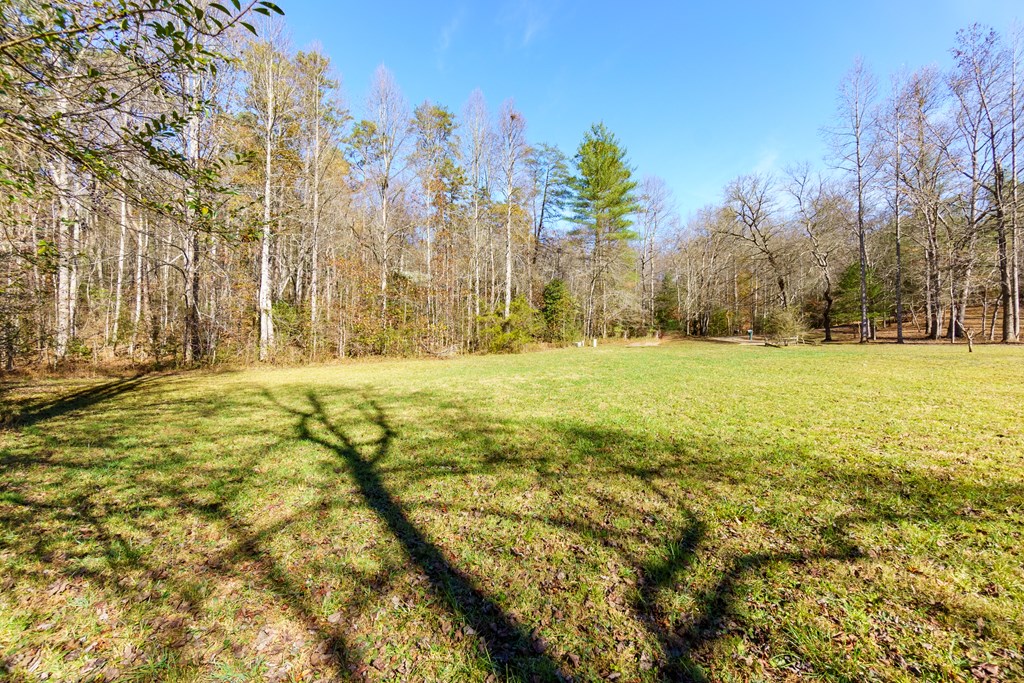 0 Pine Grove Blue Ridge, GA 30513 - Photo 17 of 23