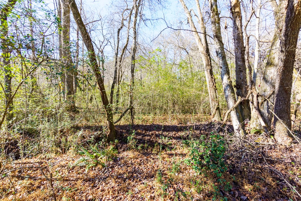 0 Pine Grove Blue Ridge, GA 30513 - Photo 18 of 23