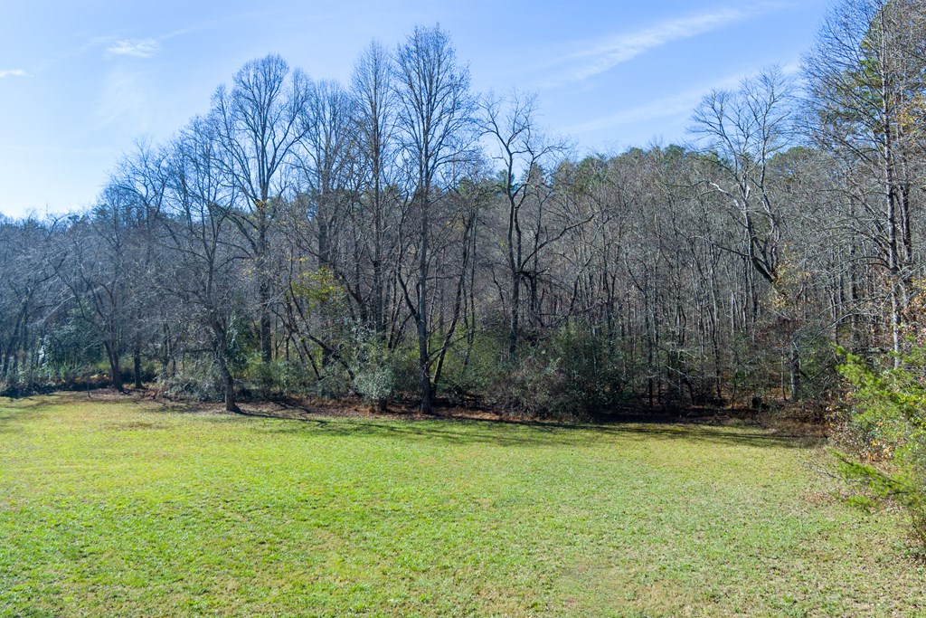 0 Pine Grove Blue Ridge, GA 30513 - Photo 2 of 23