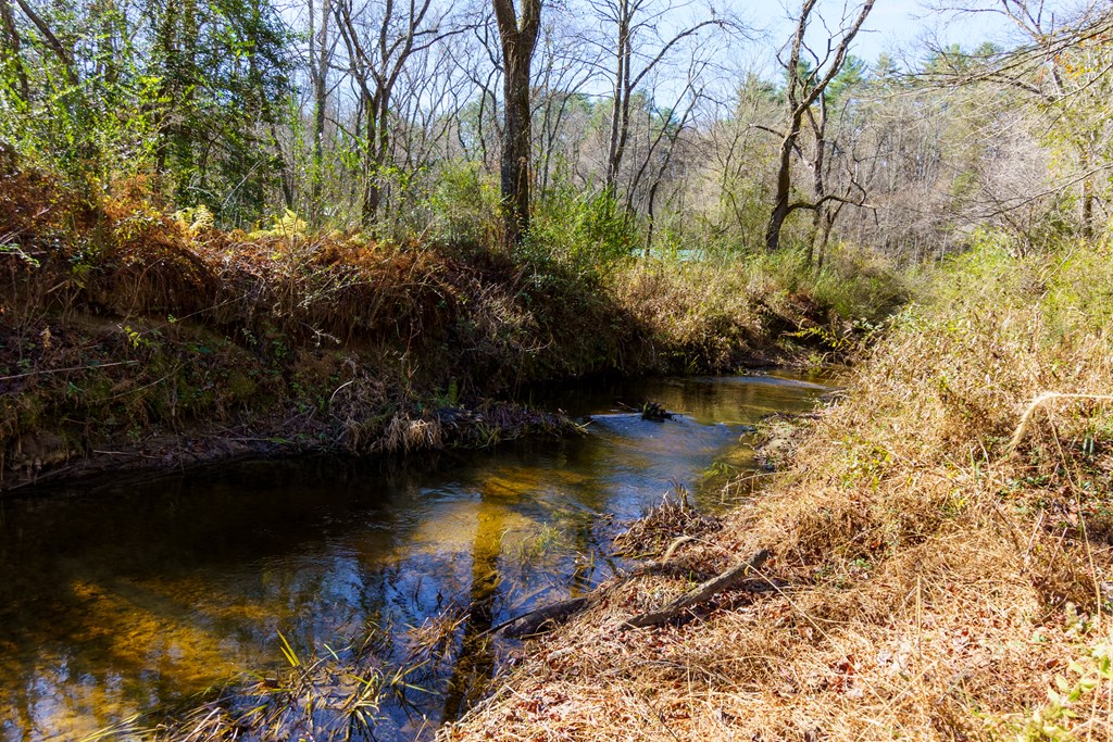 0 Pine Grove Blue Ridge, GA 30513 - Photo 21 of 23