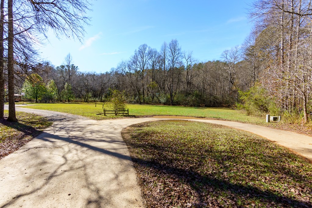 0 Pine Grove Blue Ridge, GA 30513 - Photo 23 of 23