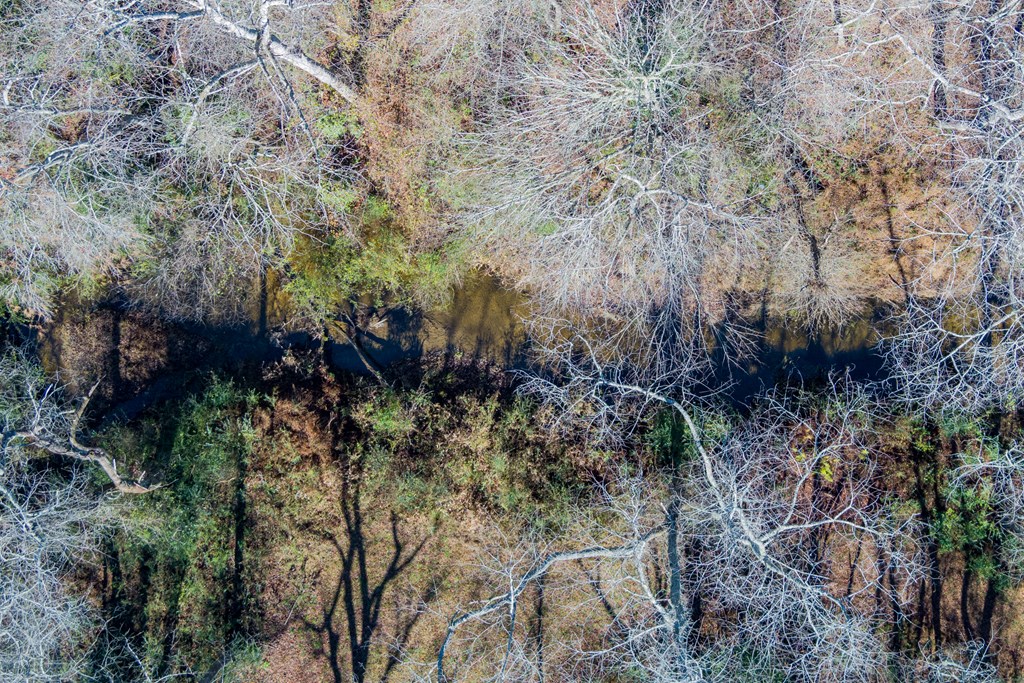 0 Pine Grove Blue Ridge, GA 30513 - Photo 5 of 23