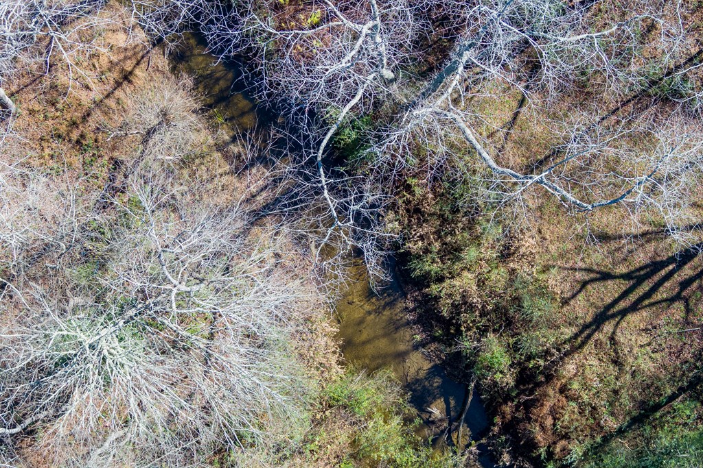 0 Pine Grove Blue Ridge, GA 30513 - Photo 6 of 23