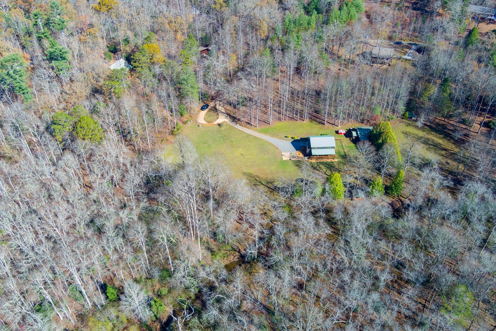 0 Pine Grove Blue Ridge, GA 30513 - Photo 7 of 23