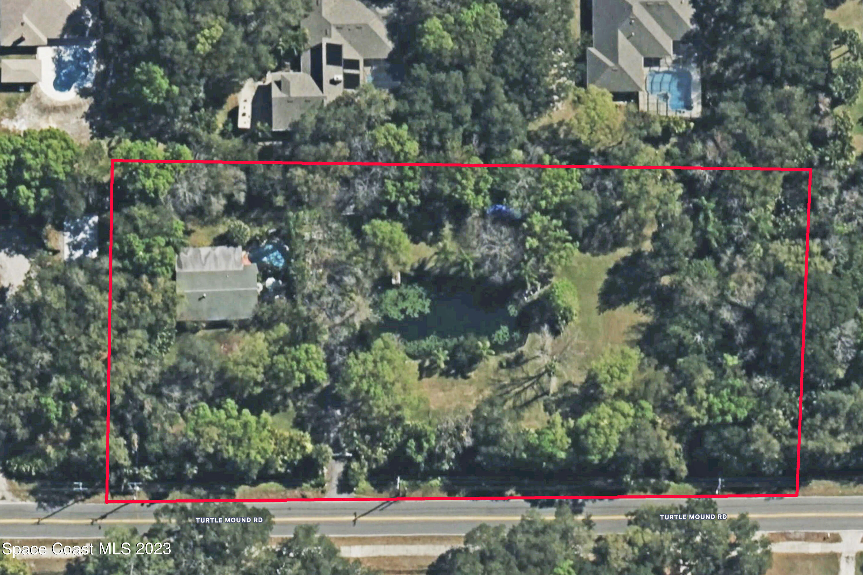 a bunch of flowers are in a yard