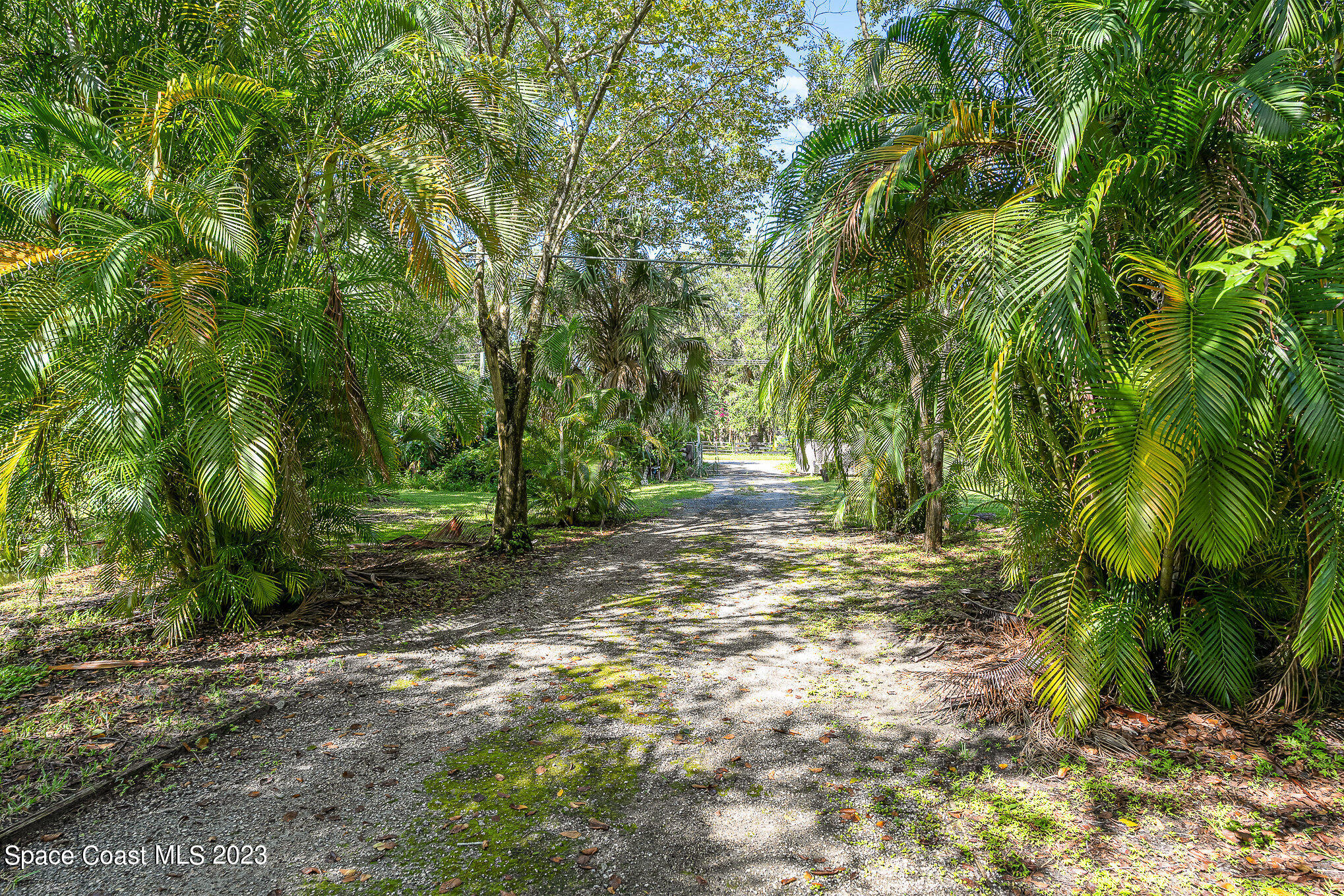 3395 Turtle Mound Road Melbourne, FL 32934 - Photo 14 of 48 a view of a yard with plants and trees