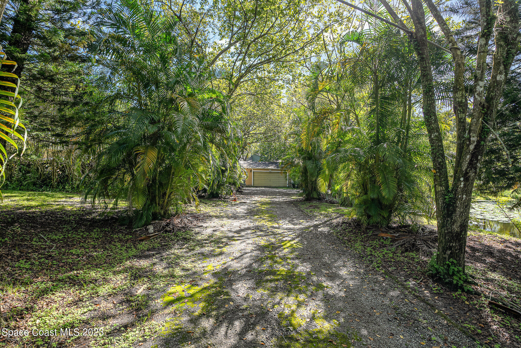 3395 Turtle Mound Road Melbourne, FL 32934 - Photo 19 of 48 a backyard of a house with lots of green space