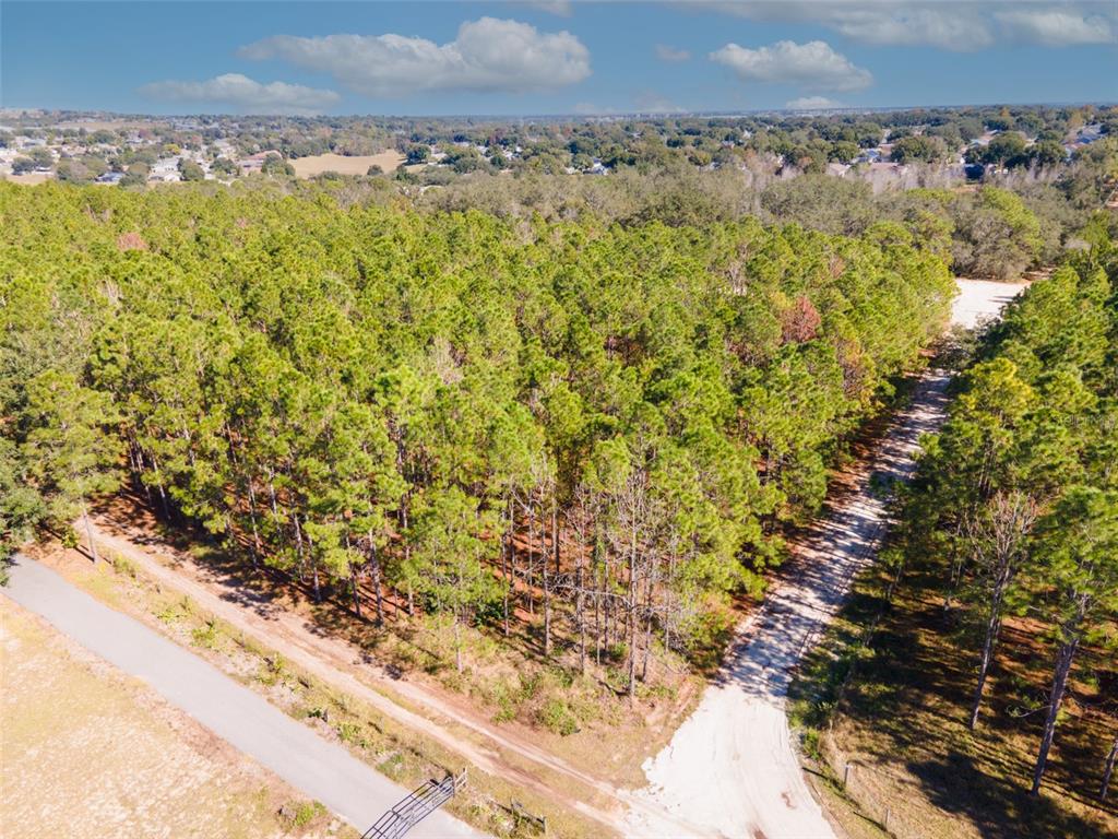 Lost Lake Road Clermont, FL 34711 - Photo 6 of 12