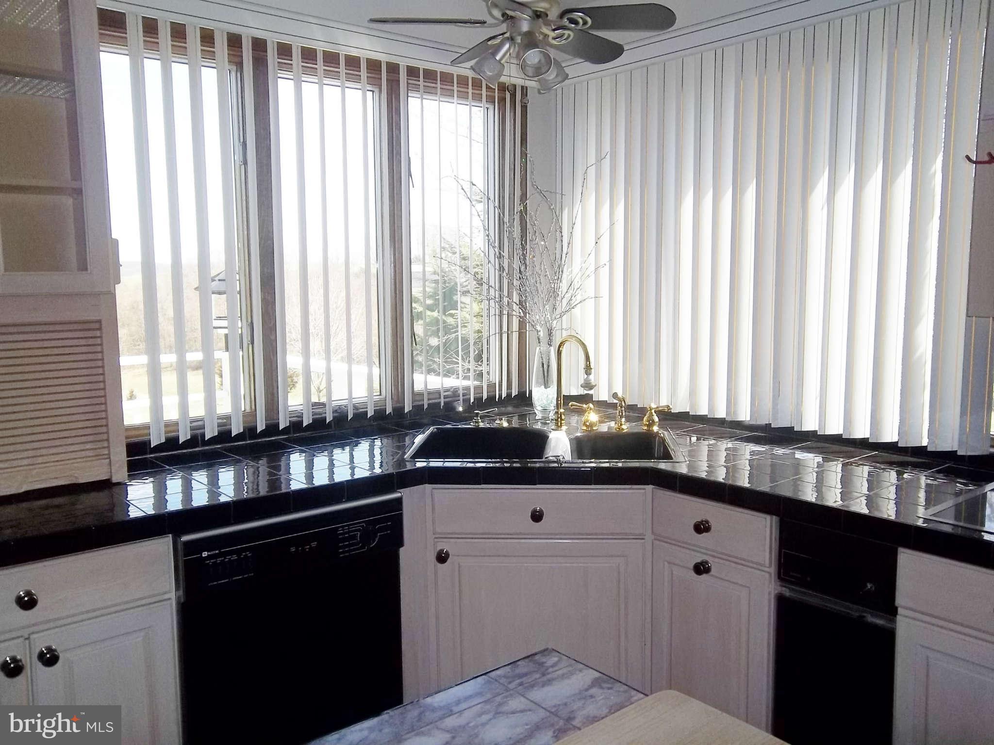 22 Adams Road Port Deposit, MD 21904 - Photo 16 of 30 Corner Sink with Surrounding Windows