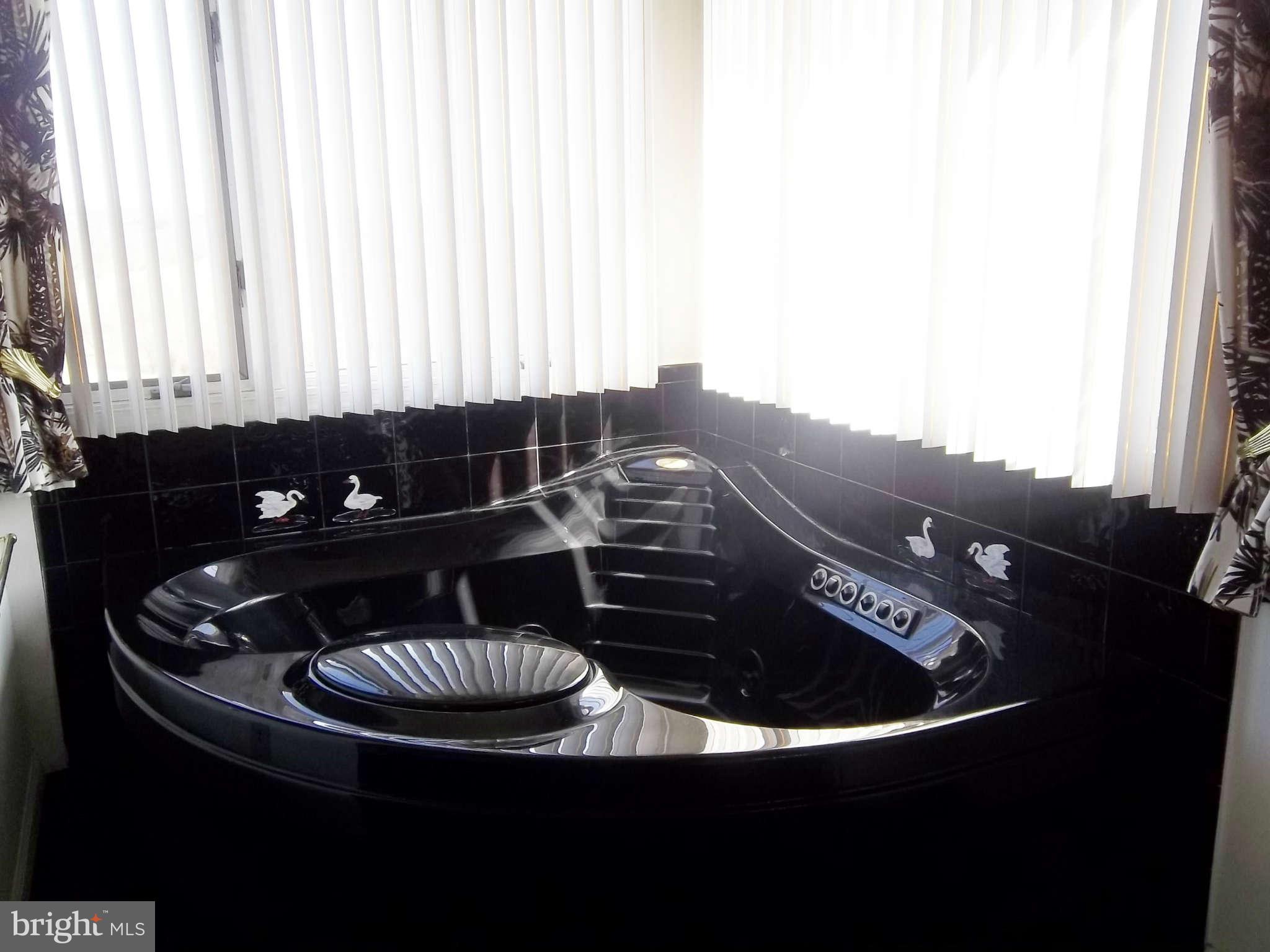 22 Adams Road Port Deposit, MD 21904 - Photo 23 of 30 Jacuzzi Tub with Waterfall